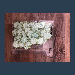 Papirblomster m perle lysgrn ca 2,5 cm 50 stk