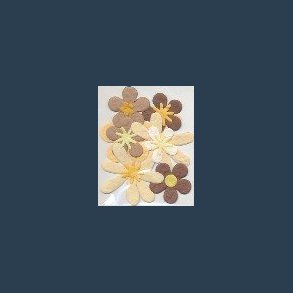 Papirblomster brunlige nuancer