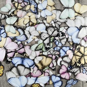 Dan cuts sommerfugle