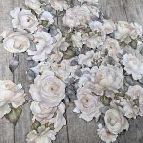 Dan cuts hvide roser