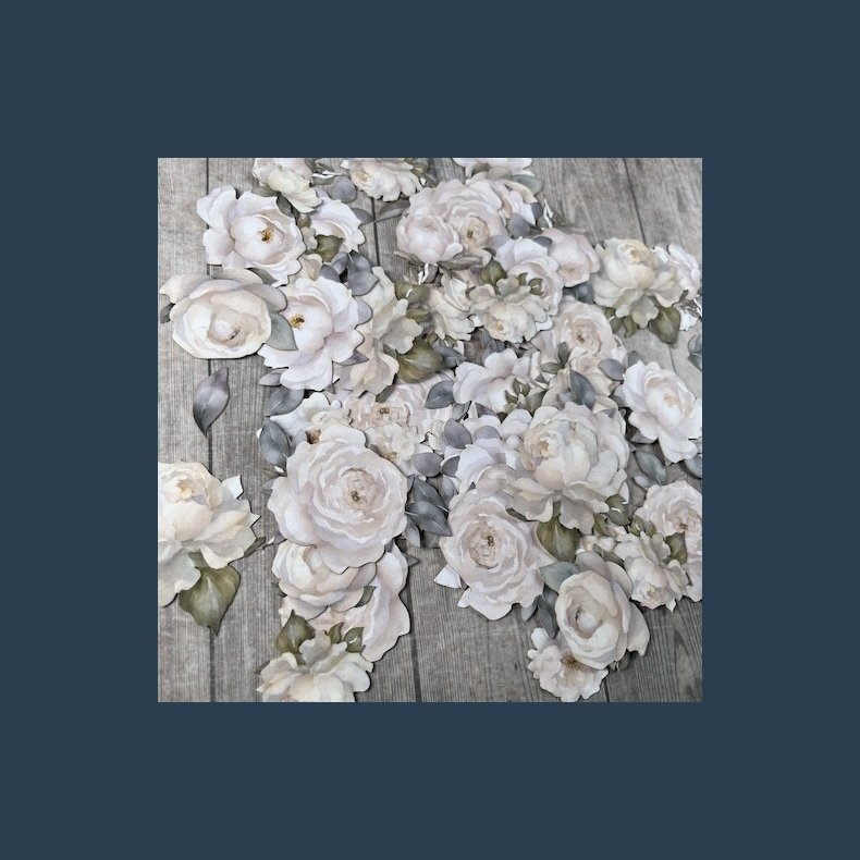 Dan cuts hvide roser