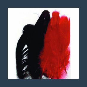 fjer 15 fjer 2 nuancer r�d / sort