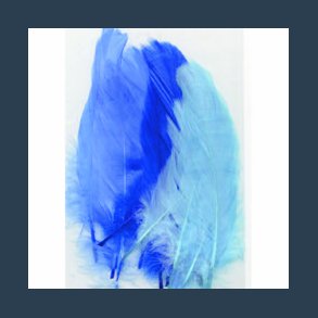 fjer5 fjer 3 nuancer bl�