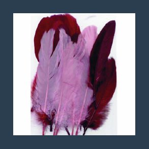 fjer5 fjer 3 nuancer R�d