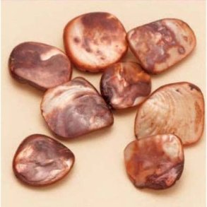 Muslingeperle orange ca 13-17 mm 8 stk