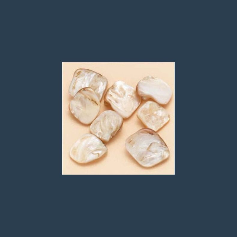 Muslingeperle creme ca 13-17 mm 8 stk