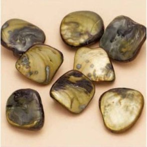 Muslingeperle orange ca 13-17 mm 8 stk