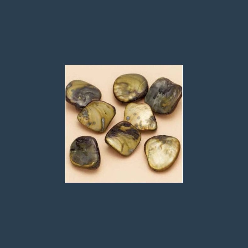 Muslingeperle orange ca 13-17 mm 8 stk